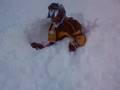 YouTube - Snowmobiling On Christmas Break In B.C. 2006