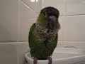My Charlie Bird!