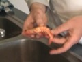 Prawn preparation - Seafood Platter