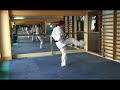 Nippon kempo kyokai 