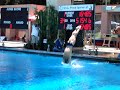 troy dumais 10 dive