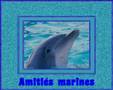 UN CADEAU POUR LES AMI(E)S DES DAUPHINS