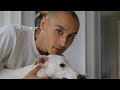 Einstein The White Whippet