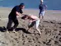 [Beach Sumo 2] 2/2 Random sparring