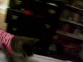 videos de Loretta Apple