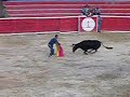 CORNADAS GUICAN CORRALEJAS FIESTAS CORNADAS GUICAN CORRALEJAS FIESTAS