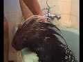 How to give a porcupine a bath