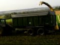 Biogassilage Teil 1