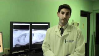 Animal Medical Hospital, Charlotte - Digital Radiography with Dr. Doyle