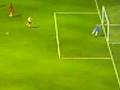fifa 09 goal