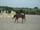 wisbecq 1m15 Leroy