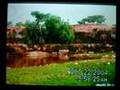 Buraan city of Sanaag, Puntland