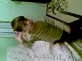 devrek ya?mur ekibinin k���k �yesi
