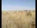 videos de Jade hunting 1