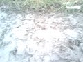 Jeep off roading 3