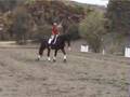 Ferrara Steffen Peters