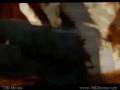 Pirates of the Carribean I want to sing and dance gay pirate