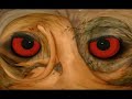 Daevid Allen - wise man in your heart