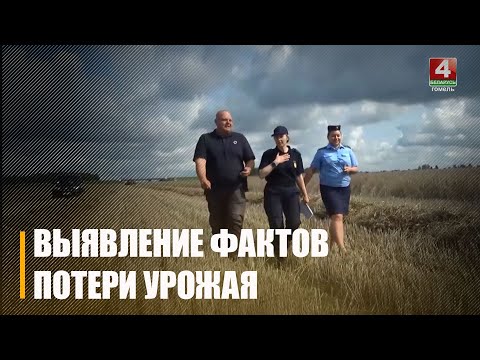 Генеральная пракуратура Беларусі выяўляе факты, якія прыводзяць да страты ўраджаю видео