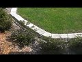 UHQ Casio Exilim Test Video UHQ Casio Exilim Test Video