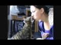 Spider-Cat-eats-trea