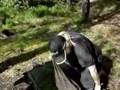 Carp Fishing Comp - Delsjön, Sweden May 2008 - Part 3