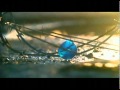 Ver Video