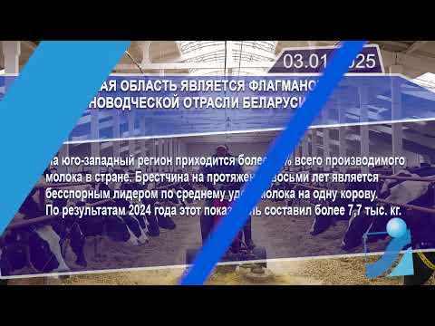 Новостная лента Телеканала Интекс 03.01.25.
