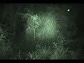 Devils Backbone Scream and Light.wmv Devils Backbone Scream and Light.wmv