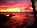 best beaches-sea,sun,sand...