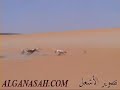 والله يا عليه لفات 90 درجة هالارنب