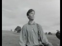 Hipslingers - Sacred Cow (1987)