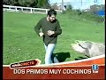 Dos primos muy cochinos
