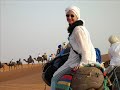 Erg Chebbi Full Moon Camel Riding