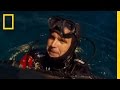 Endangered Sea Creatures