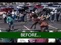 Horseshoeing Time & the Noavel Headstall in Muscle Shoals