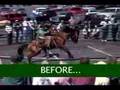 Horseshoeing Time & the Noavel Headstall in Muscle Shoals