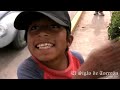 ¿Dónde esta la vaca?