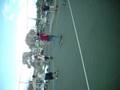 videos de y.s.s.