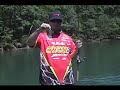 John Crews*- SPRO BBZ-1 Threadfin Shad Swimbait John Crews*- SPRO BBZ-1 Threadfin Shad Swimbait