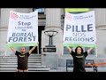 Greenpeace occupies world headquarters of AbitibiBowater