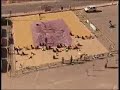 Elche World Record Guinness