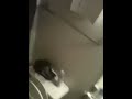 Drunk,Freestyle,Funny