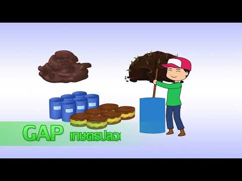 ความแตกต่างระหว่าง เกษตรปลอดภัย กับ เกษตรอินทรีย์ GAP and Organic.