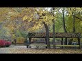 Fall is Here (HD)