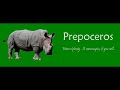 het nederlandse accent