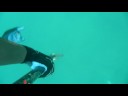Spearfishing Pescasub Orata 2,8 chili