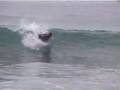 9:Fish Surfboards 5'8 Grunion Part 2