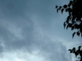 Michigan Skywarn Activation