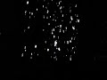Nine Inch Nails - Hurt: Live Tel Aviv, Israel 05.09.2007